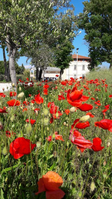 Villaggio Esmera Desenzano del Garda Eksteriør billede